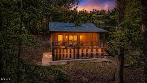 Photo of 200 Preacher Laws Road, Afton, TN 37616 (MLS # 9995263)