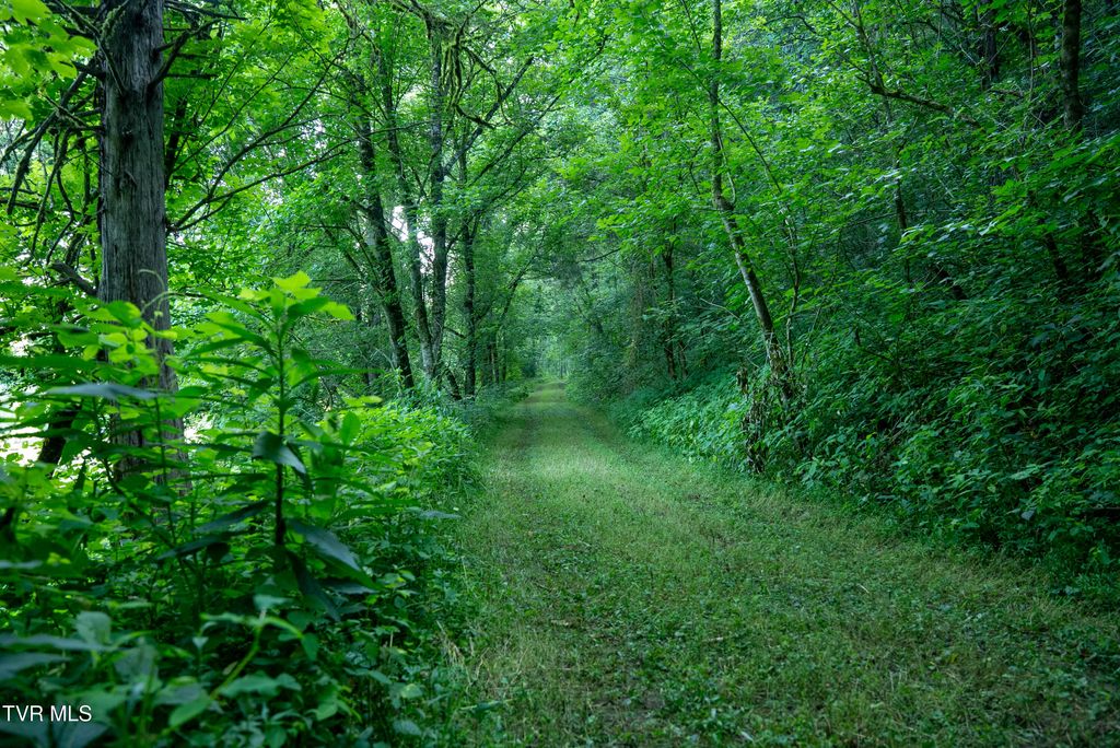 Photo of 1335 Ben Bloomer Road, Sneedville, TN 37869 (MLS # 9991869)