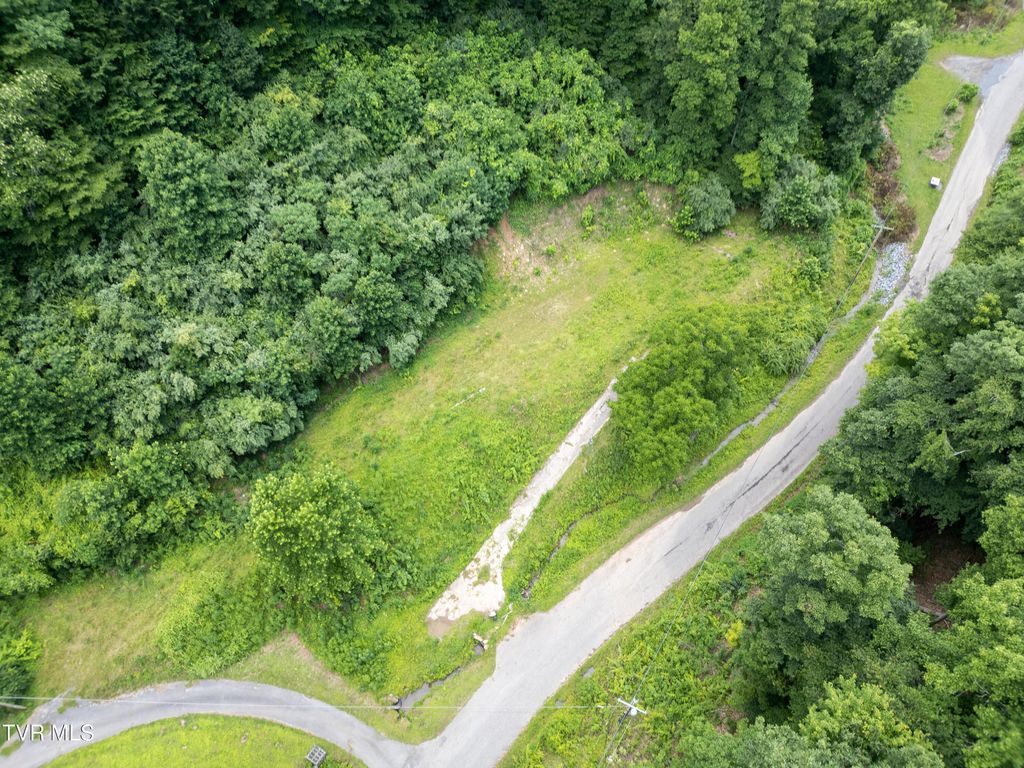 Photo of 819 Doe Branch, Haysi, VA 24256 (MLS # 9997932)