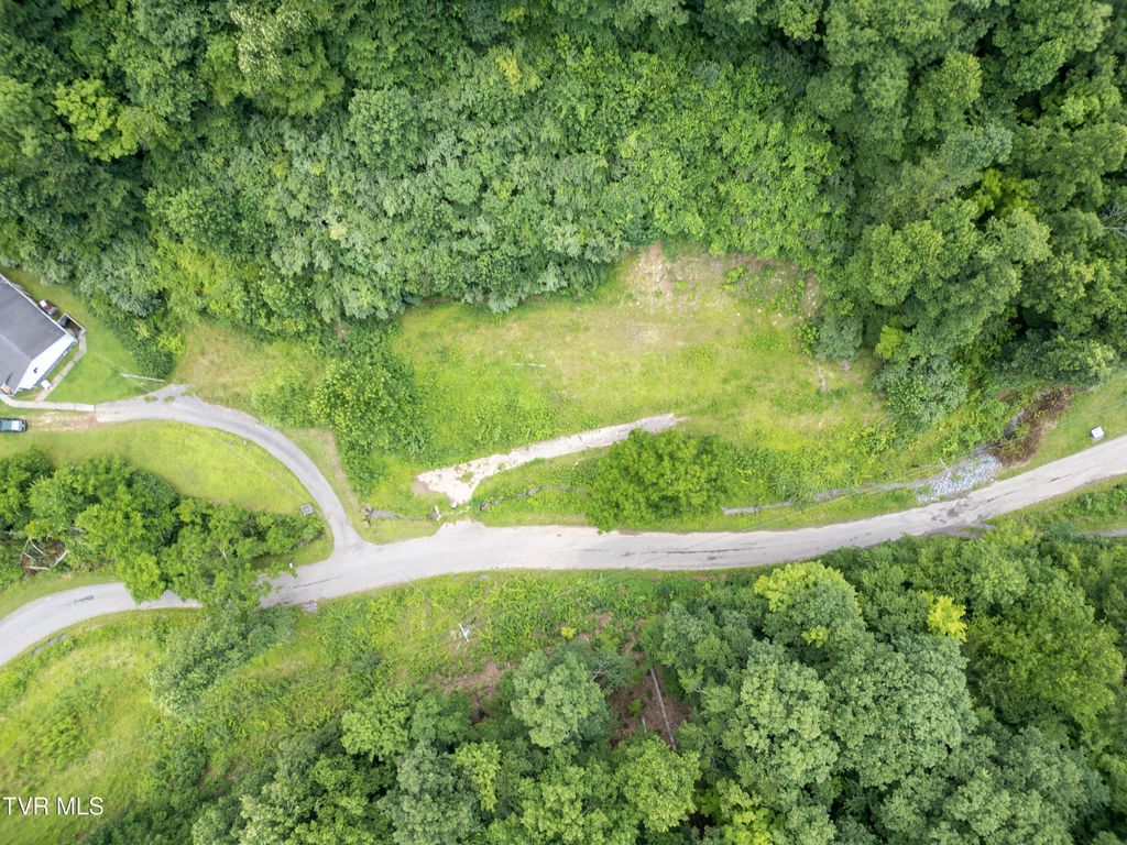 Photo of 819 Doe Branch, Haysi, VA 24256 (MLS # 9997932)
