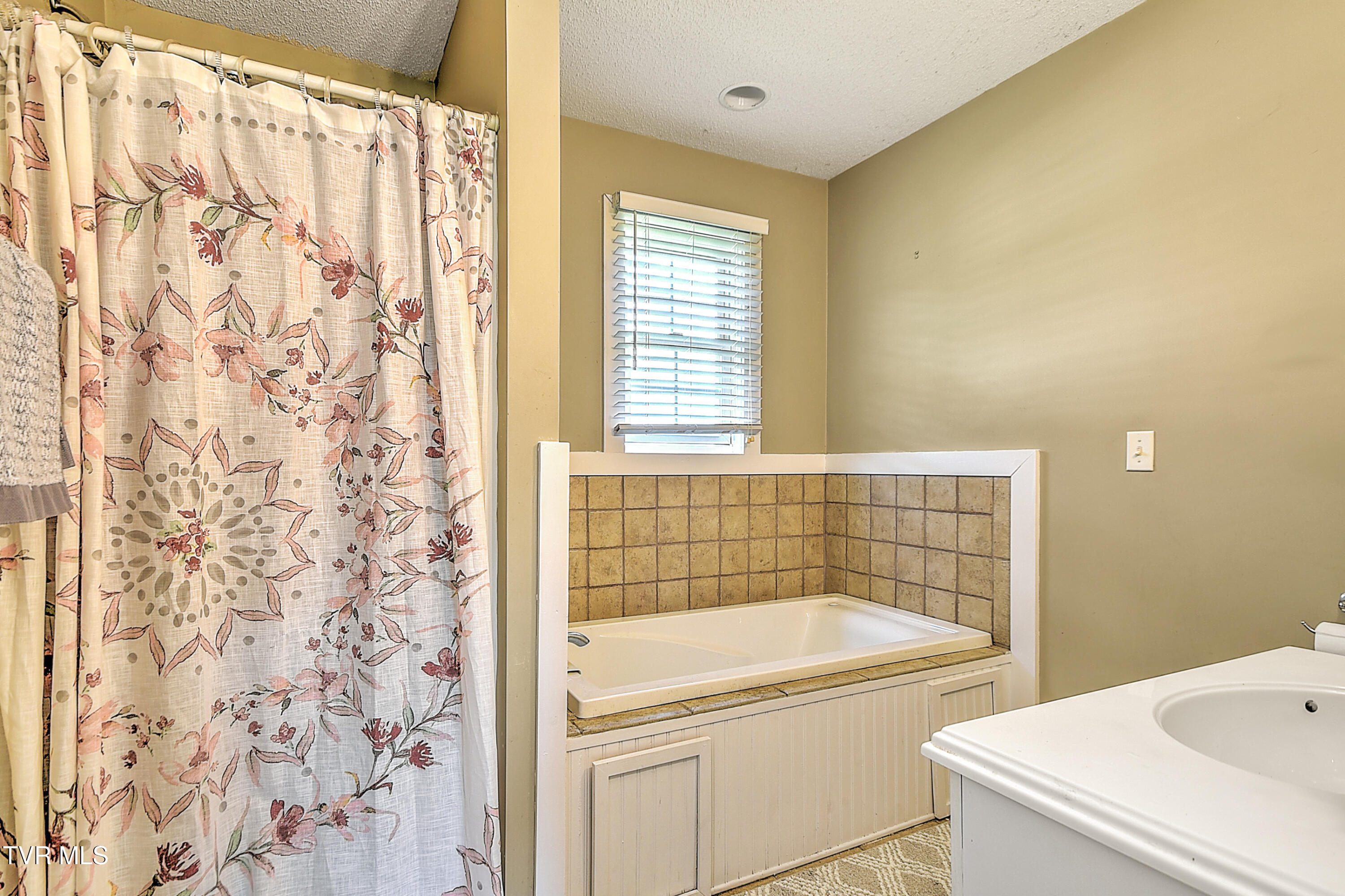 12350 Reedy Creek Road, Bristol, Virginia image 14