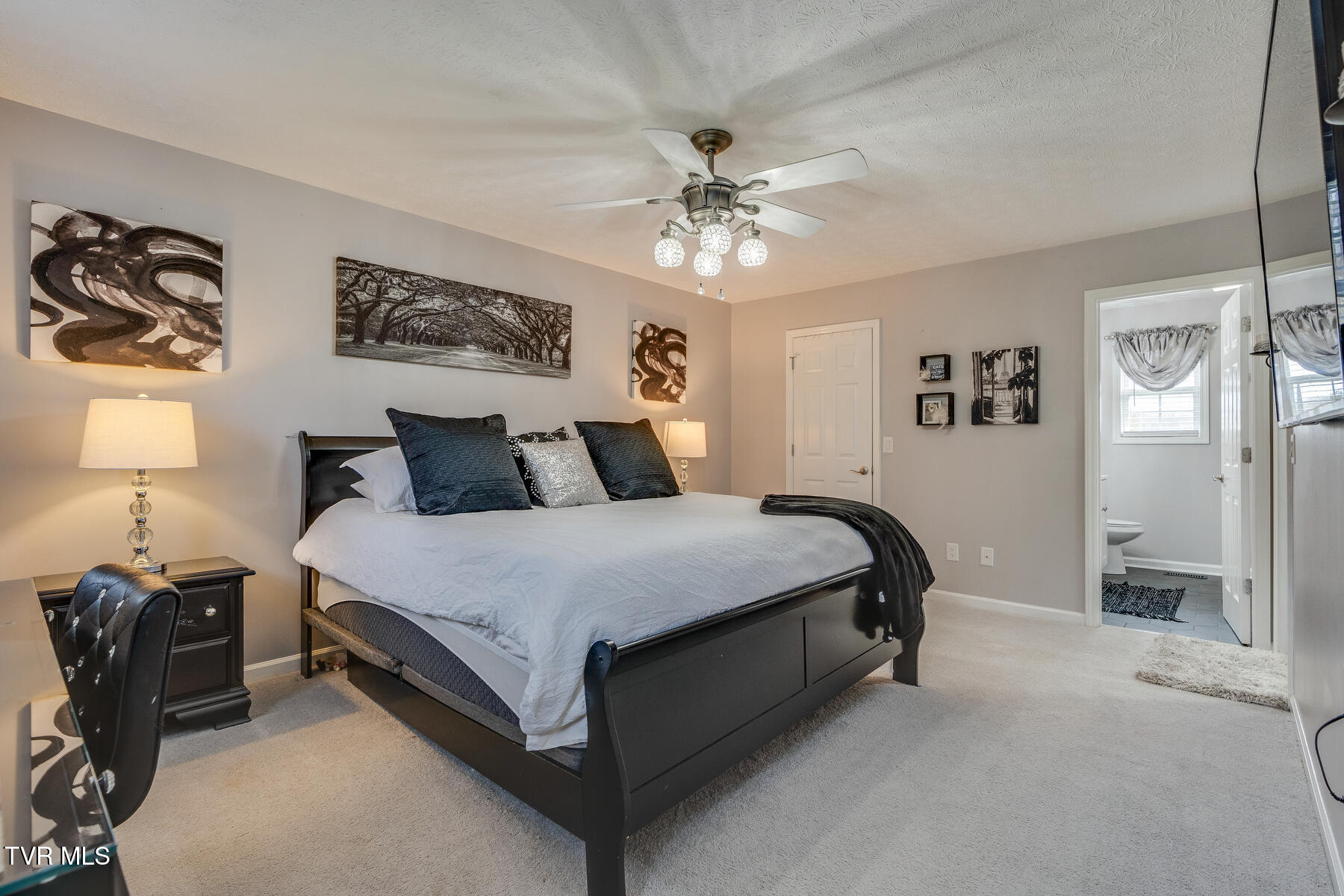 109 Lake Haven Drive, Johnson City, Tennessee image 28