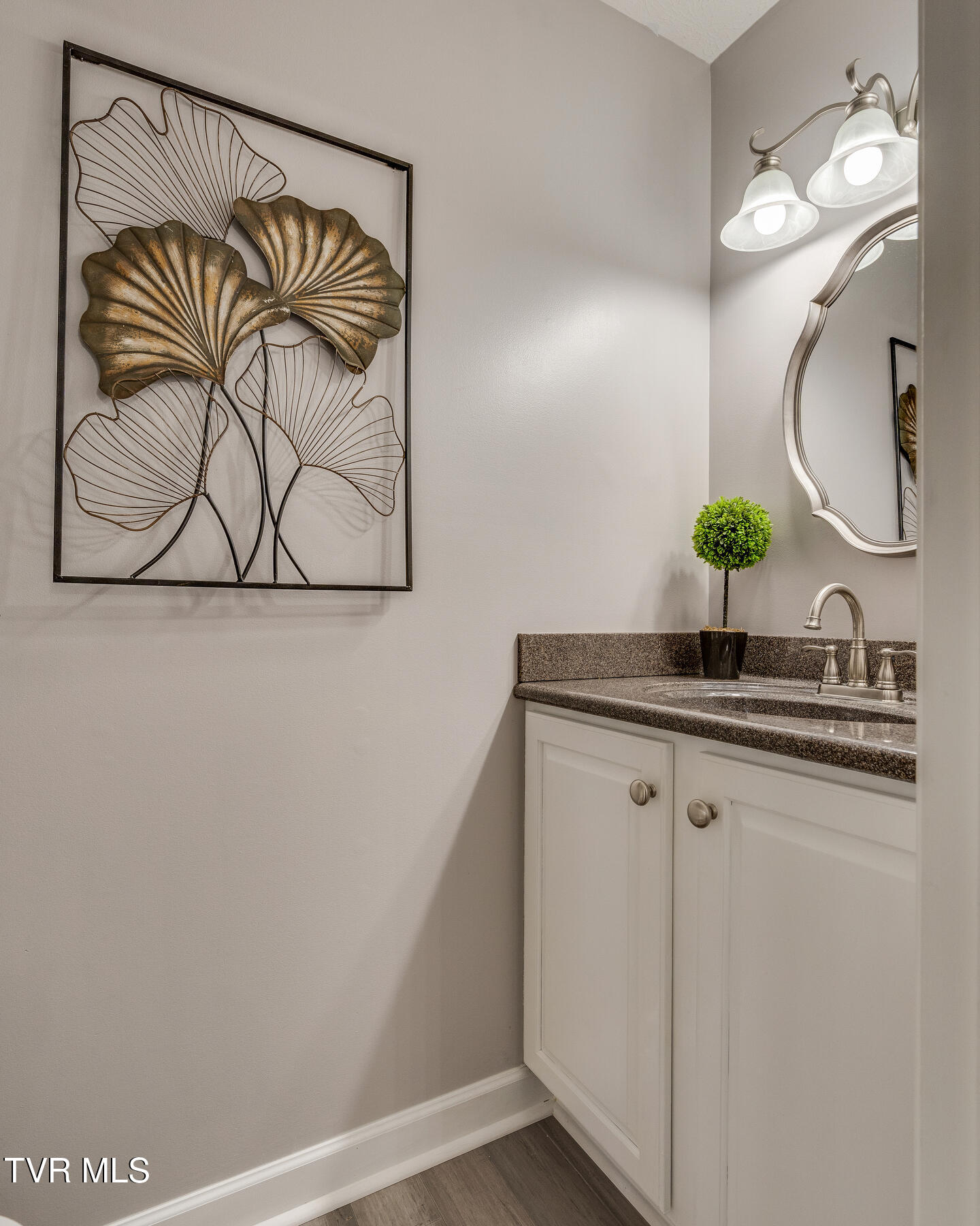109 Lake Haven Drive, Johnson City, Tennessee image 17