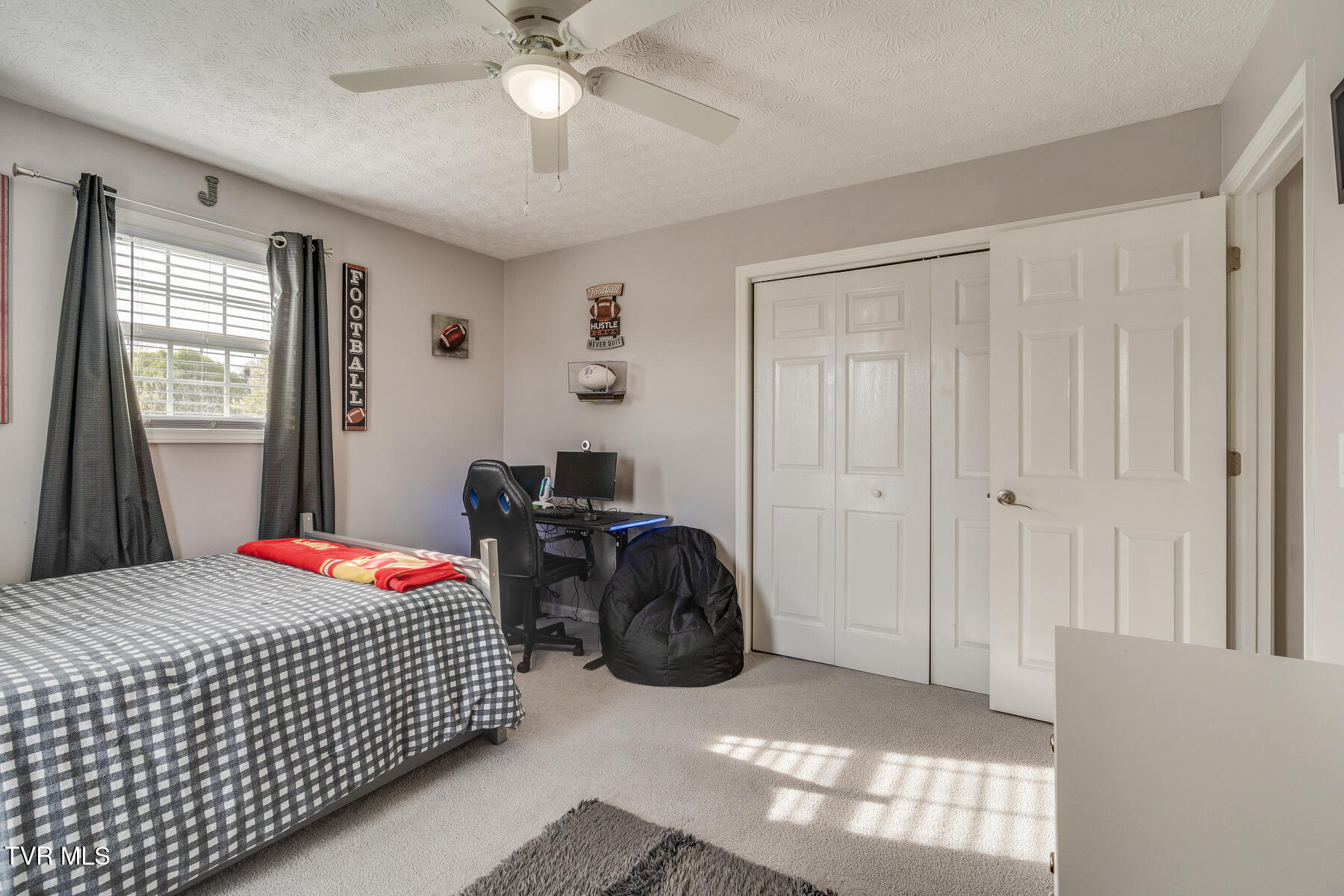 109 Lake Haven Drive, Johnson City, Tennessee image 36