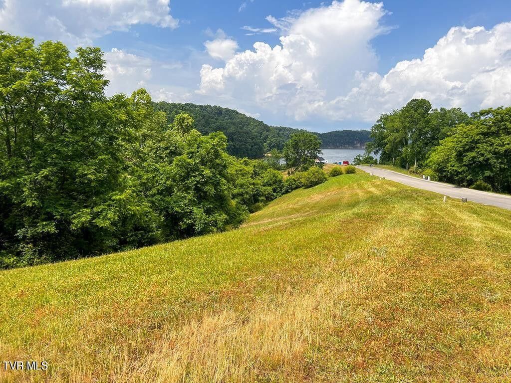 Photo of 2069 Turners Landing Road, Russellville, TN 37860 (MLS # 9998592)