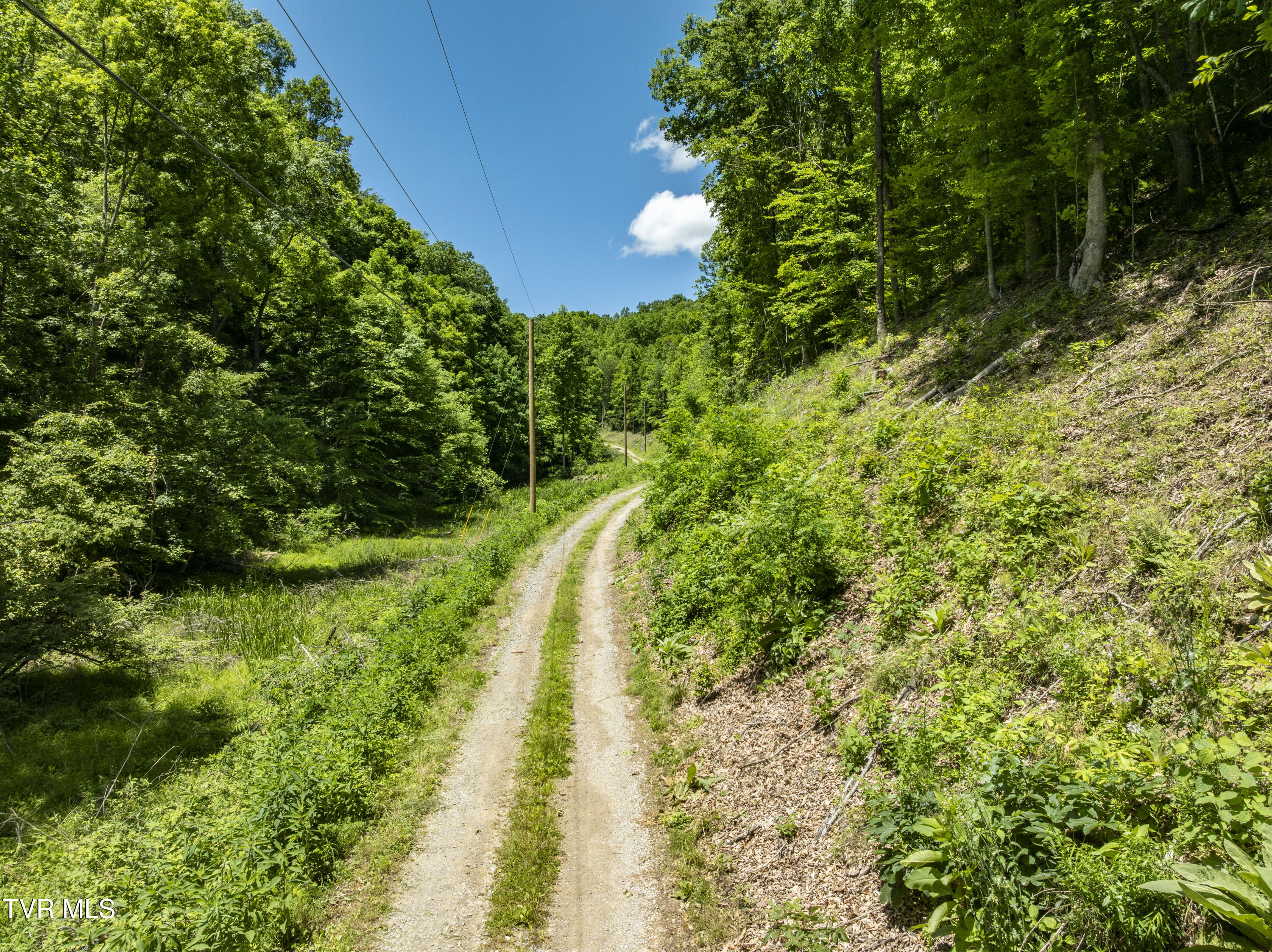 Tbd Lick Creek Drive, Fort Blackmore, Virginia image 11