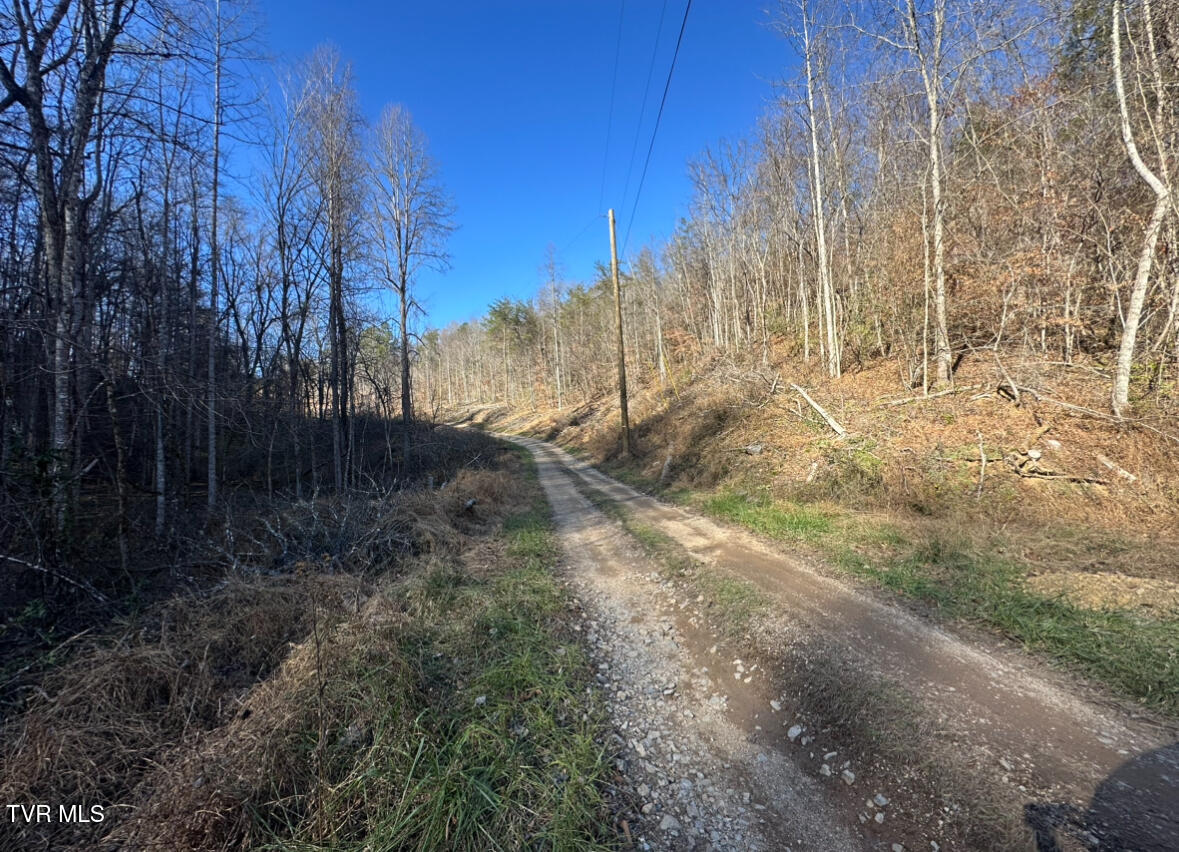 Tbd Lick Creek Drive, Fort Blackmore, Virginia image 11