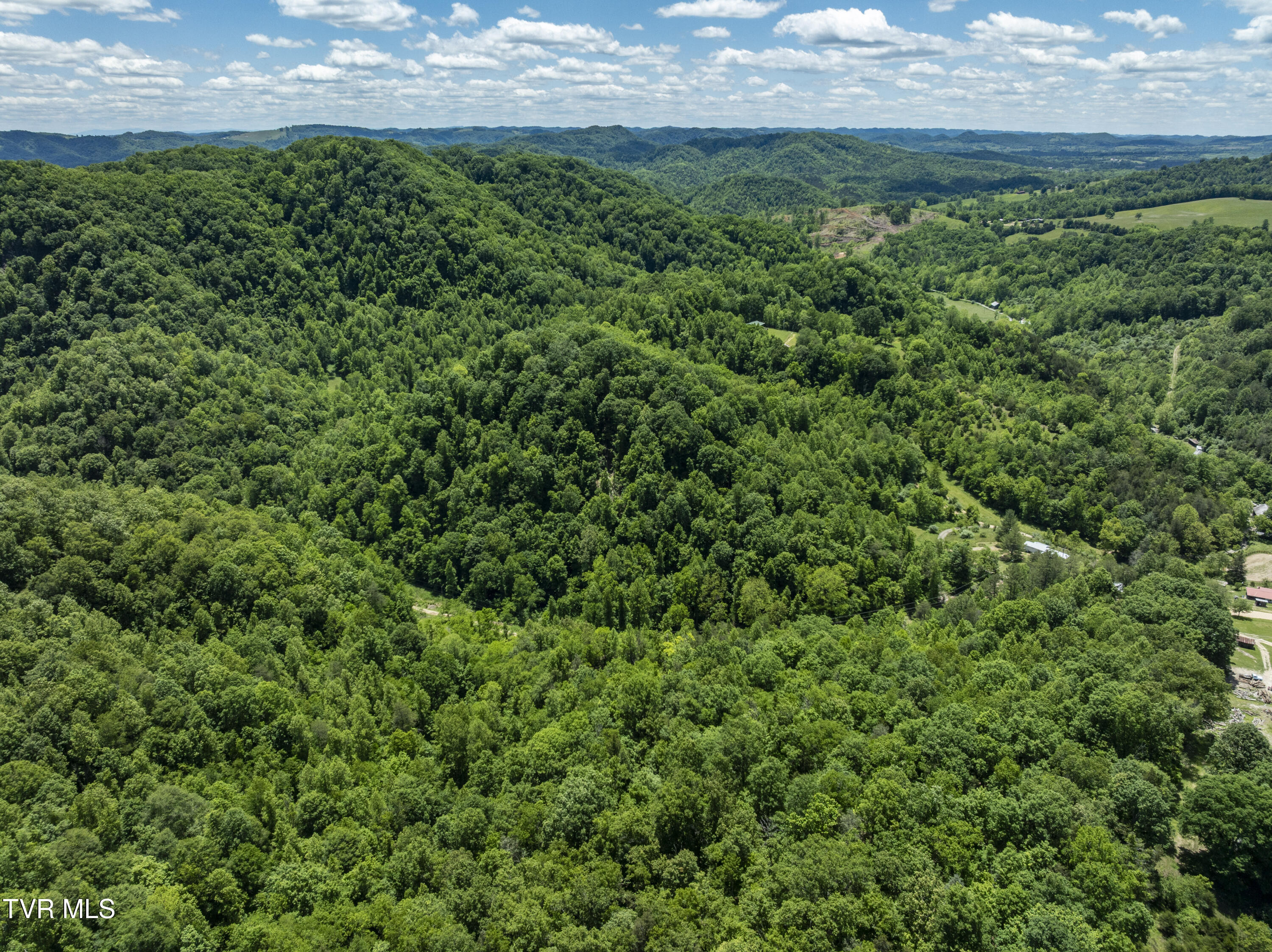 Tbd Lick Creek Drive, Fort Blackmore, Virginia image 3