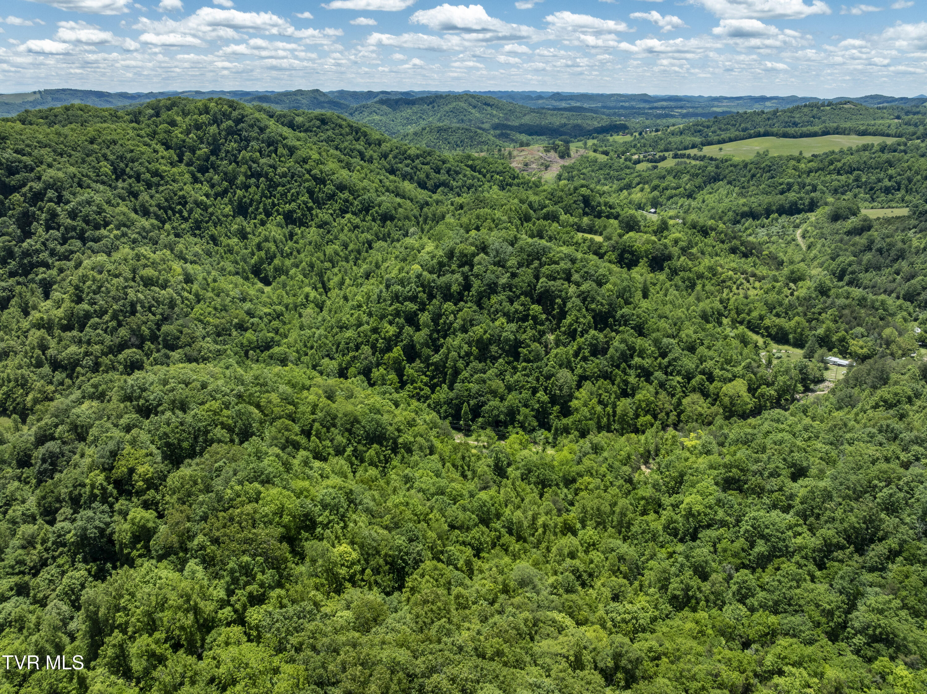 Tbd Lick Creek Drive, Fort Blackmore, Virginia image 4