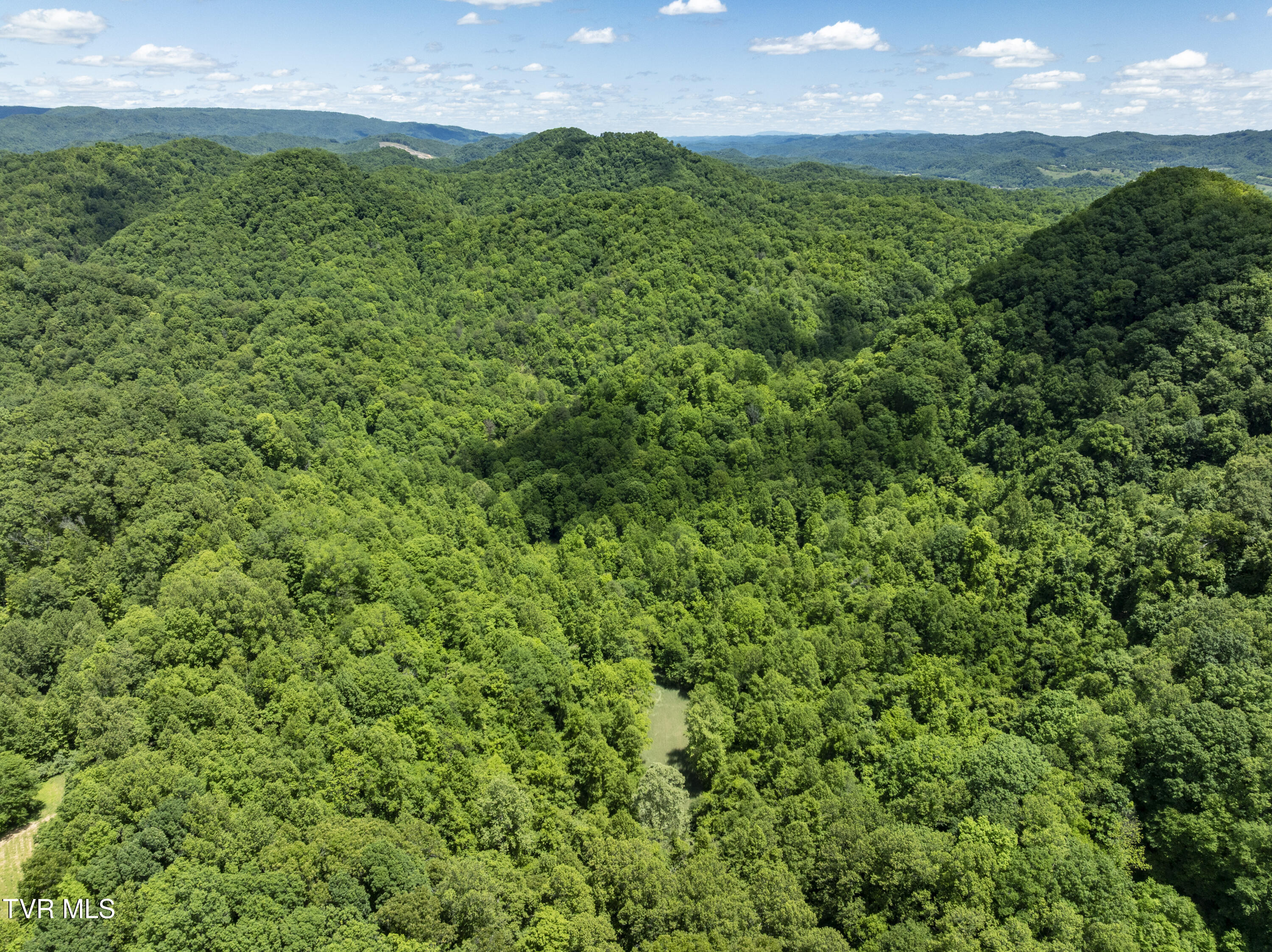 Tbd Lick Creek Drive, Fort Blackmore, Virginia image 7