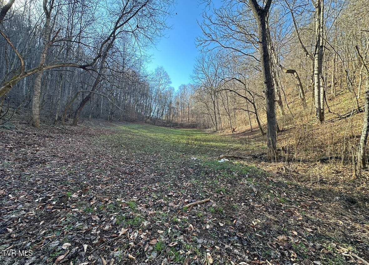 Tbd Lick Creek Drive, Fort Blackmore, Virginia image 1