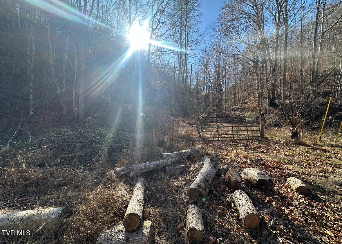 Tbd Lick Creek Drive, Fort Blackmore, Virginia image 10