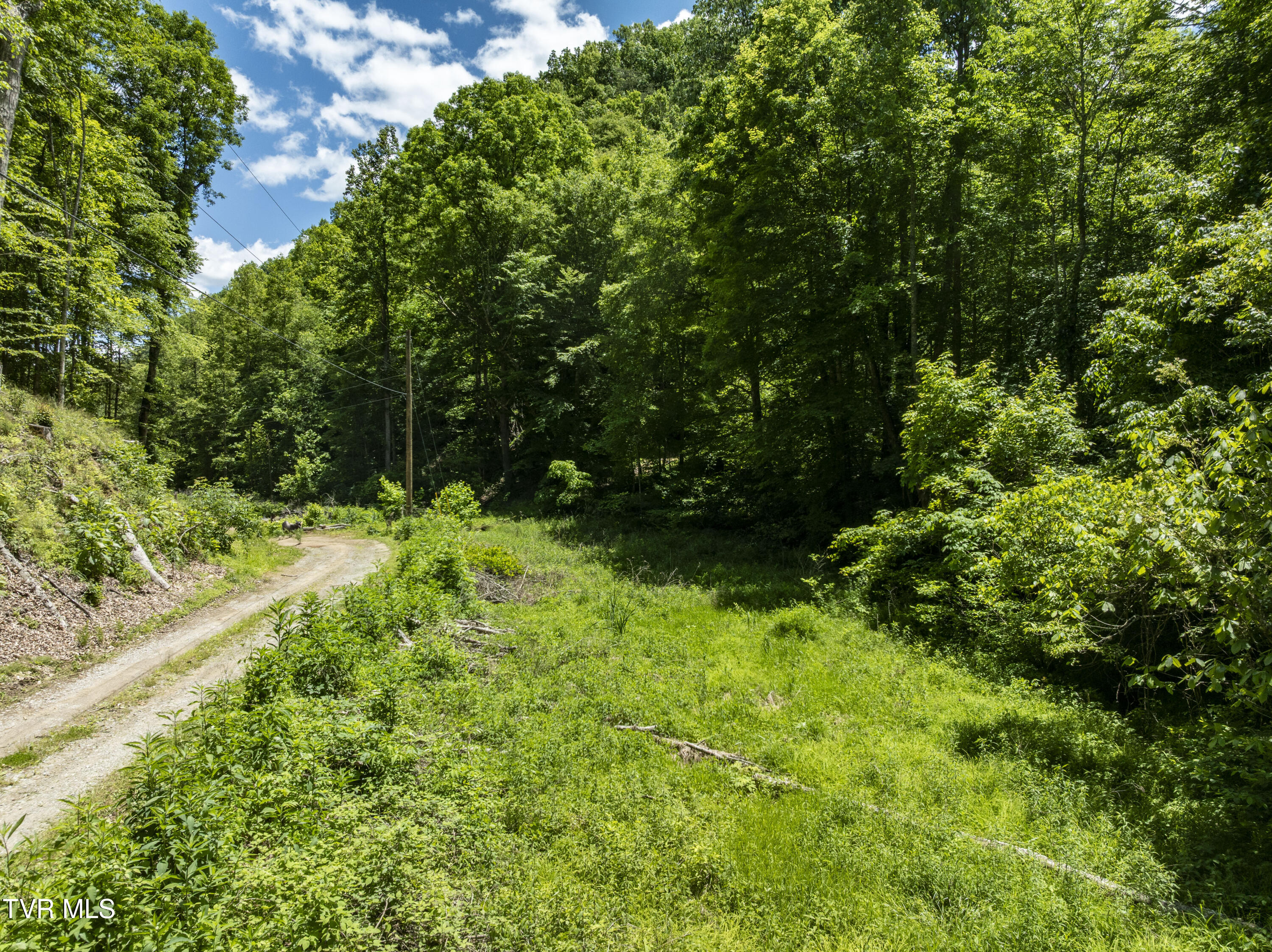 Tbd Lick Creek Drive, Fort Blackmore, Virginia image 9