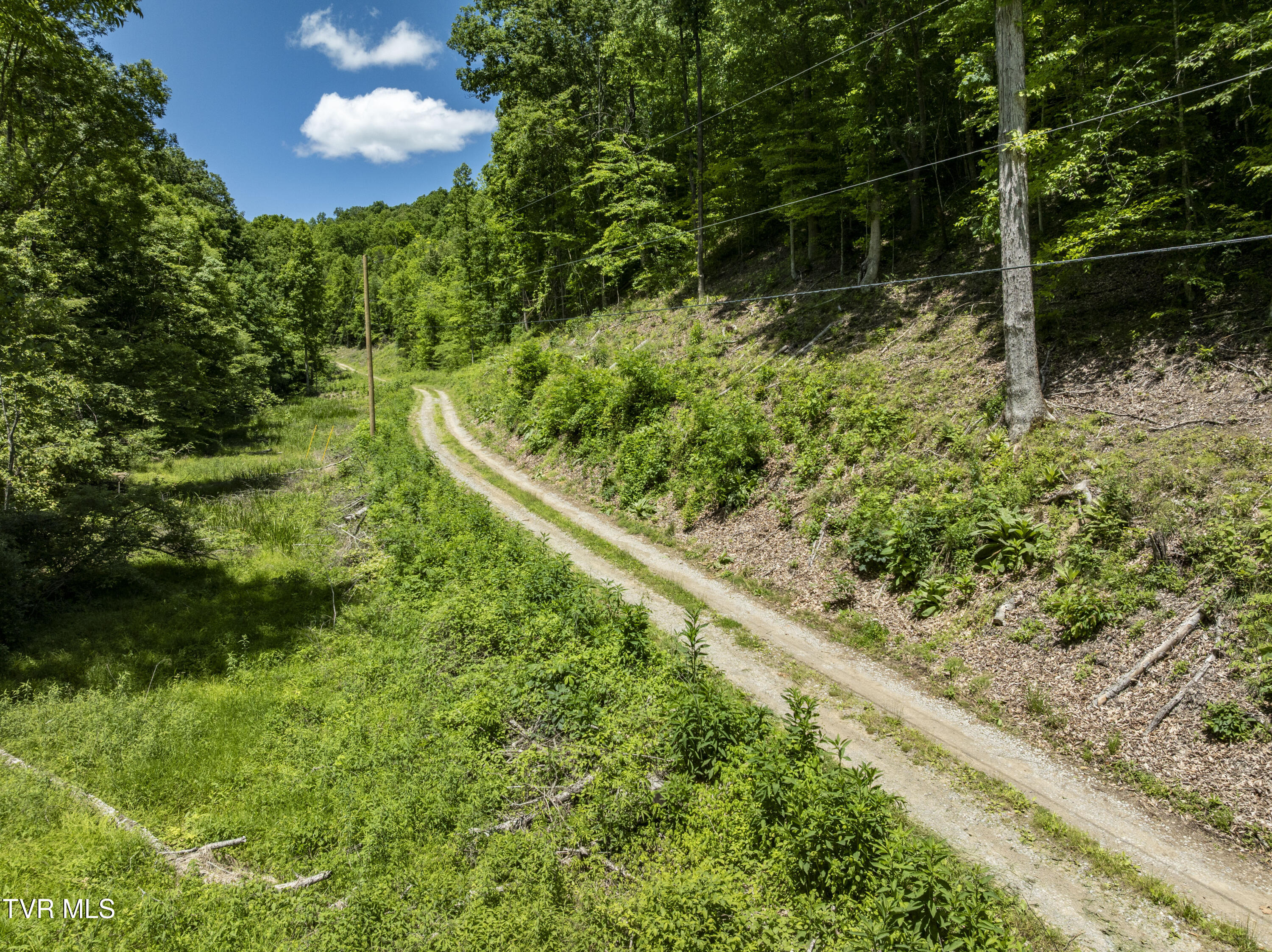 Tbd Lick Creek Drive, Fort Blackmore, Virginia image 12