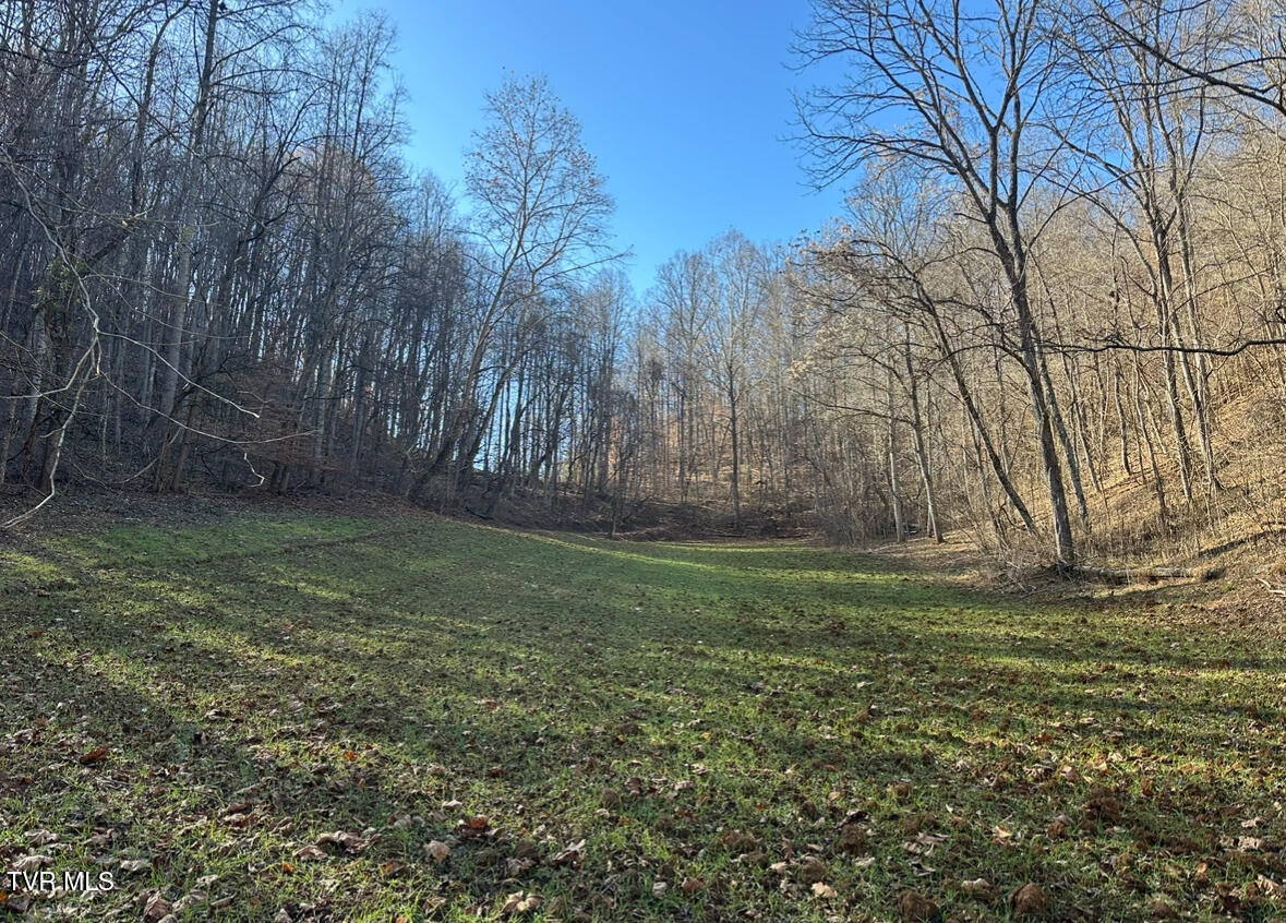 Tbd Lick Creek Drive, Fort Blackmore, Virginia image 3