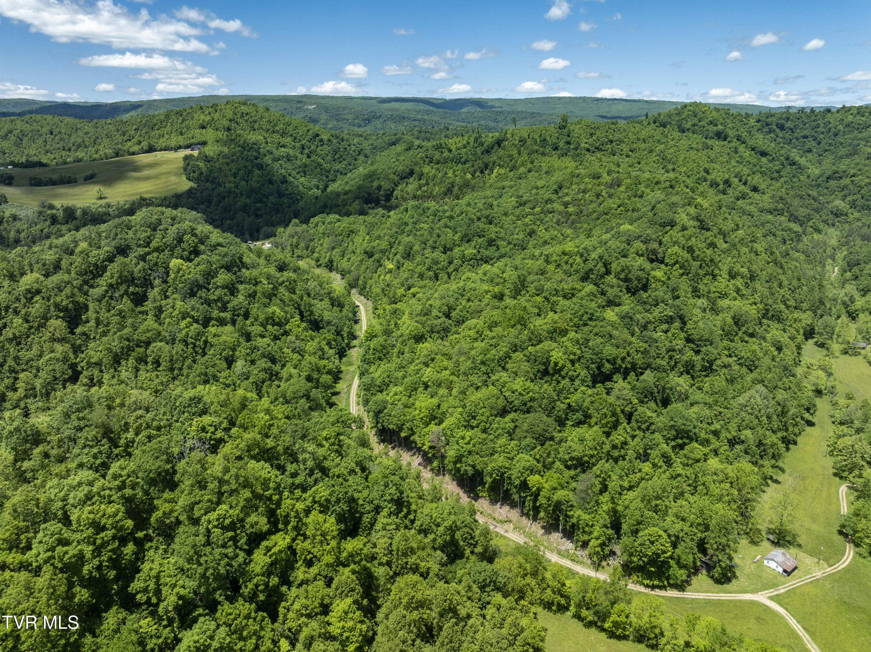 Tbd Lick Creek Drive, Fort Blackmore, Virginia image 5