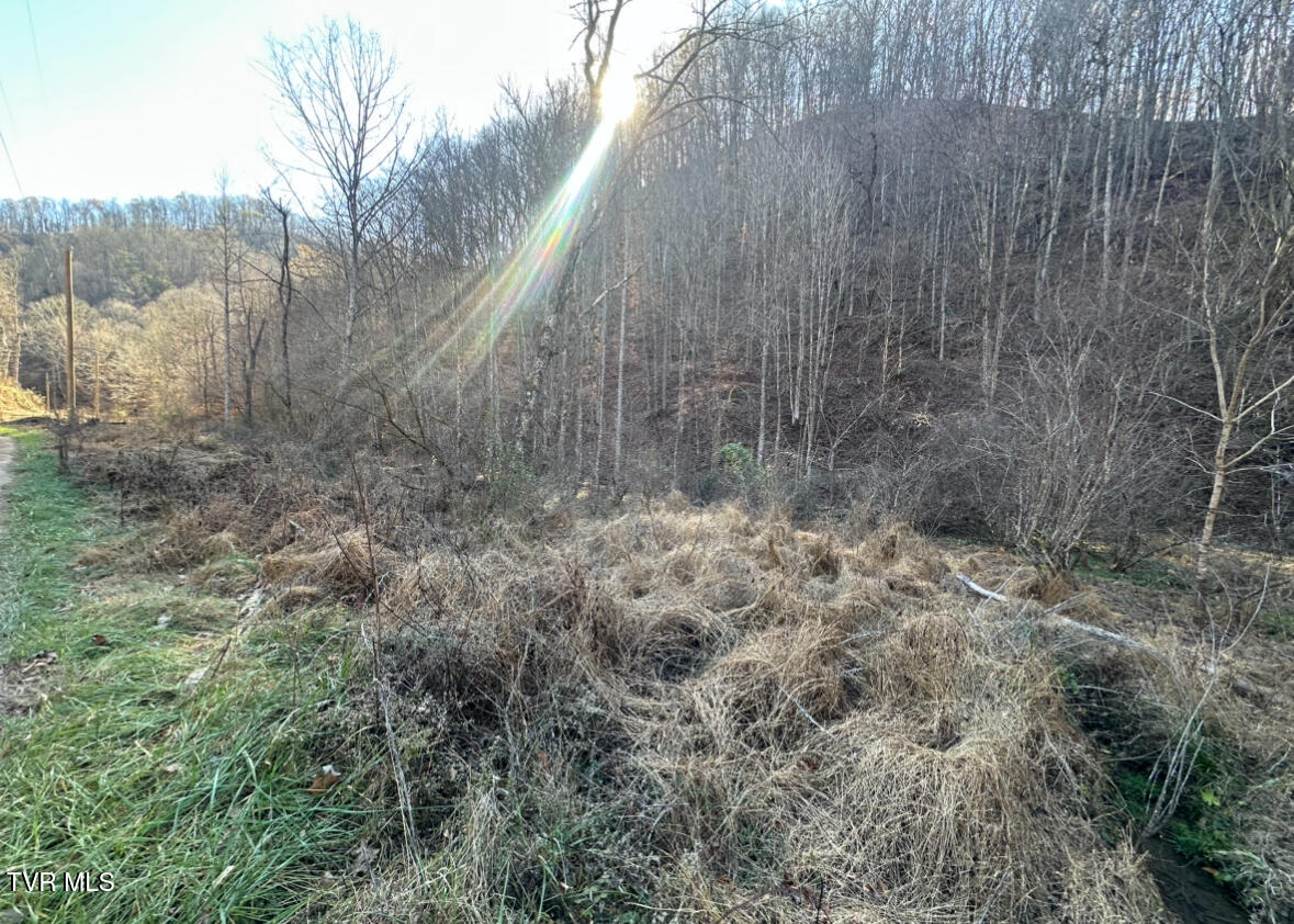 Tbd Lick Creek Drive, Fort Blackmore, Virginia image 8