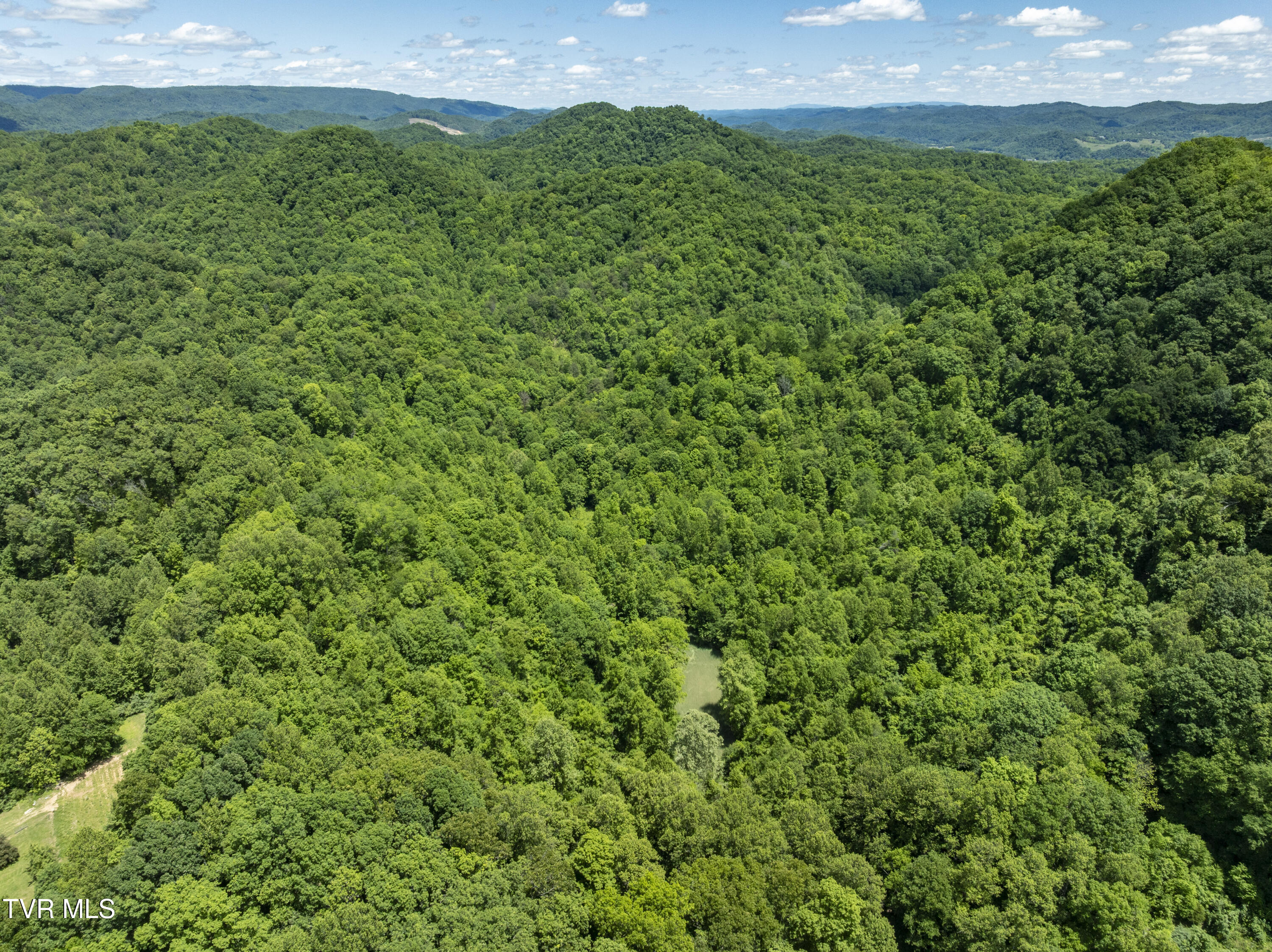 Tbd Lick Creek Drive, Fort Blackmore, Virginia image 8