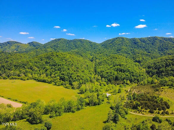 Tbd Clinch Mountain Road