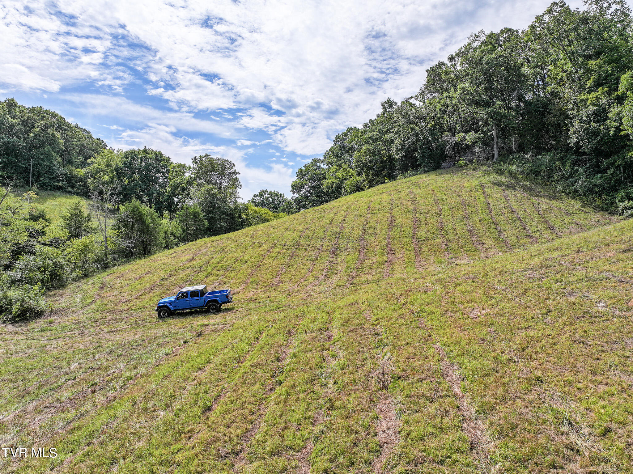 887 Berry Road, Bulls Gap, Tennessee image 20