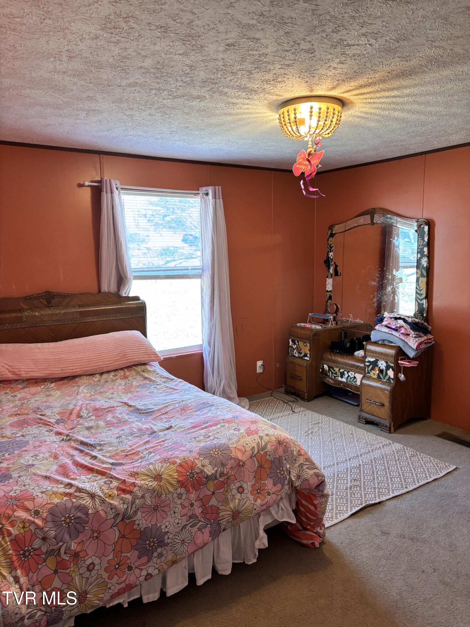1195 Main Street, Mosheim, Tennessee image 18