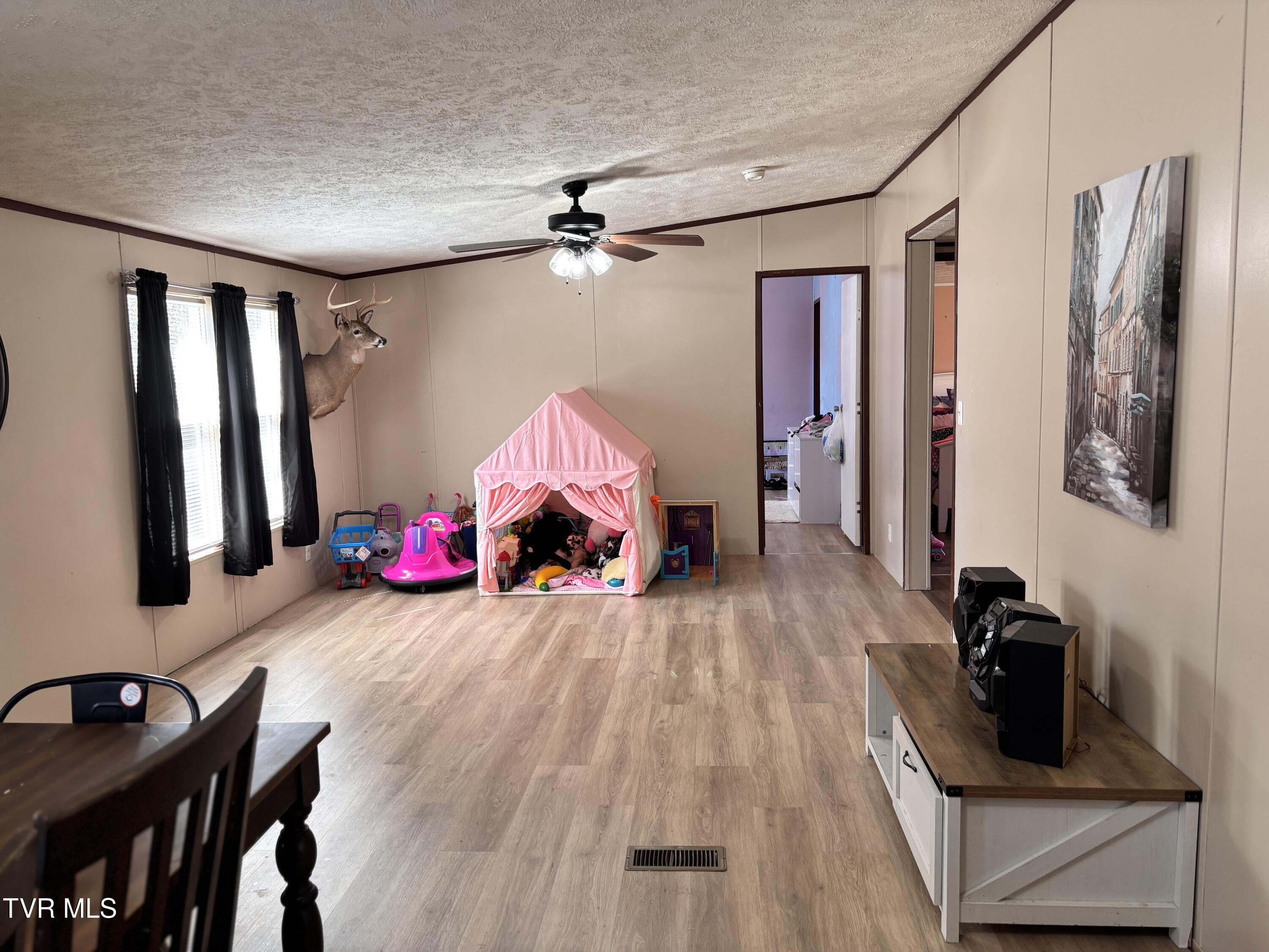 1195 Main Street, Mosheim, Tennessee image 15