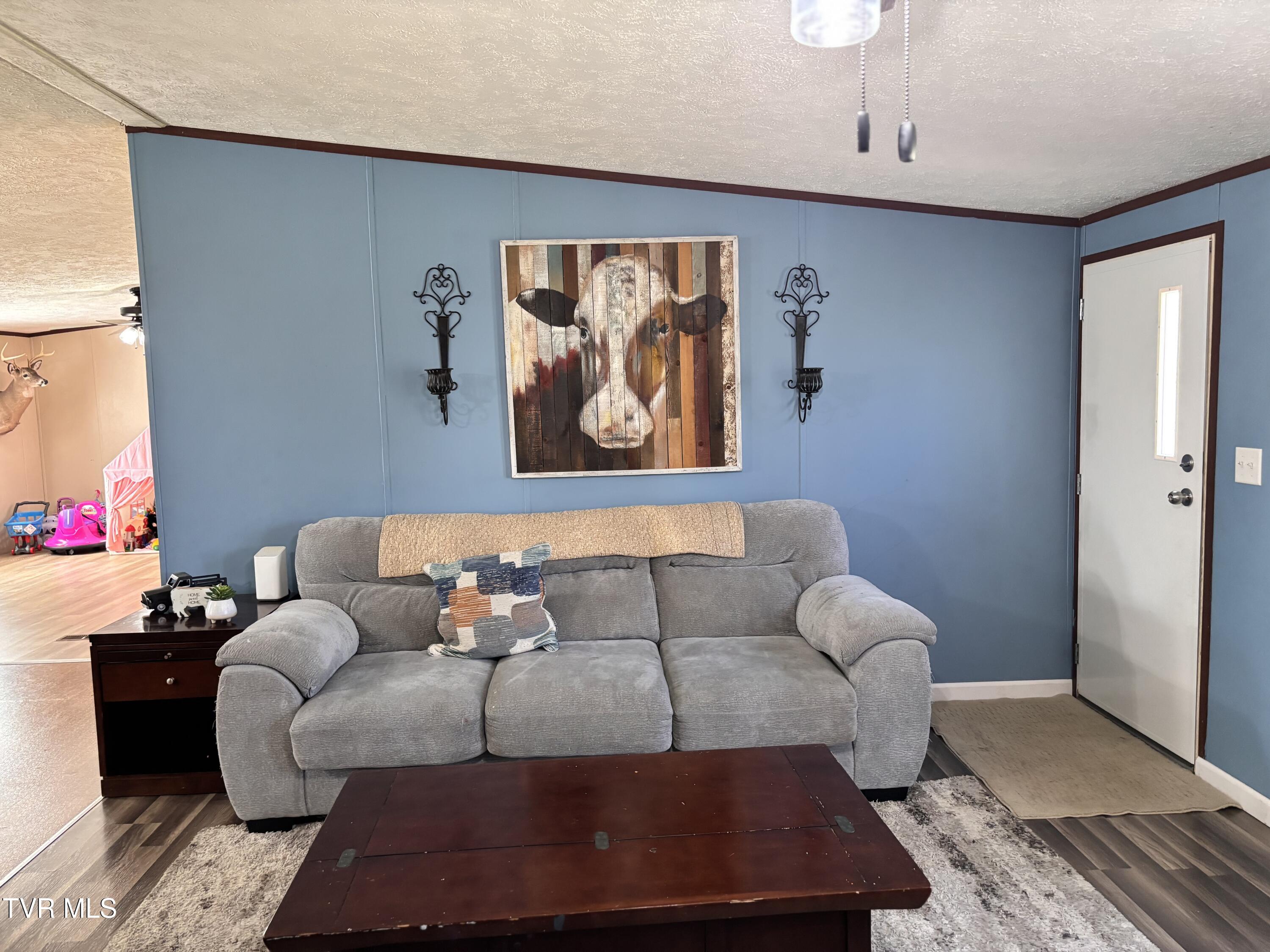 1195 Main Street, Mosheim, Tennessee image 14