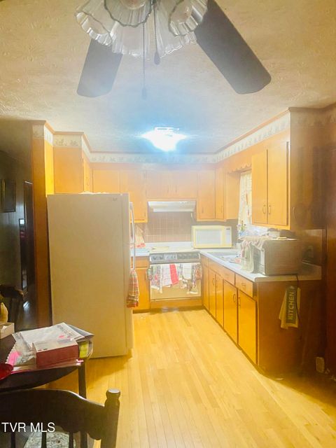 Tiny photo for 1820 Pine Orchard Road, Butler, TN 37640 (MLS # 9982329)