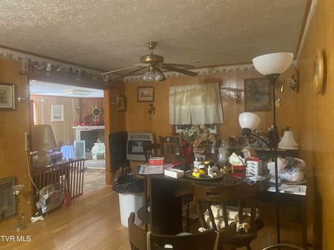 Tiny photo for 1820 Pine Orchard Road, Butler, TN 37640 (MLS # 9982329)
