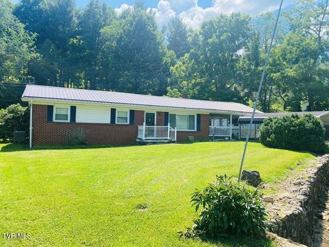 Tiny photo for 1820 Pine Orchard Road, Butler, TN 37640 (MLS # 9982329)