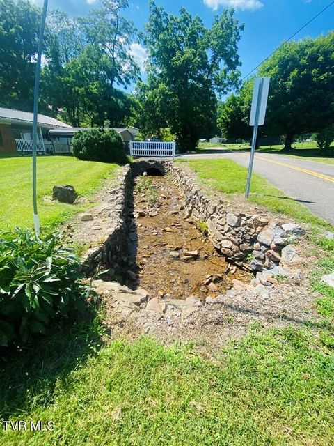 Tiny photo for 1820 Pine Orchard Road, Butler, TN 37640 (MLS # 9982329)