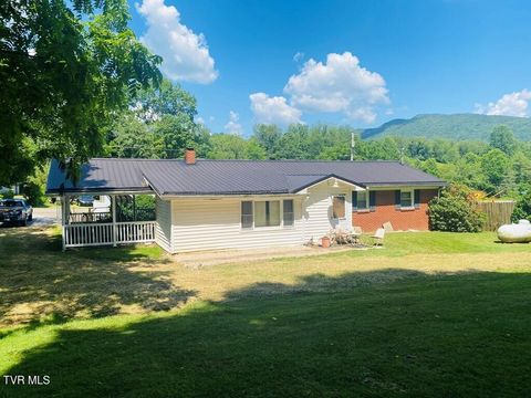 Tiny photo for 1820 Pine Orchard Road, Butler, TN 37640 (MLS # 9982329)