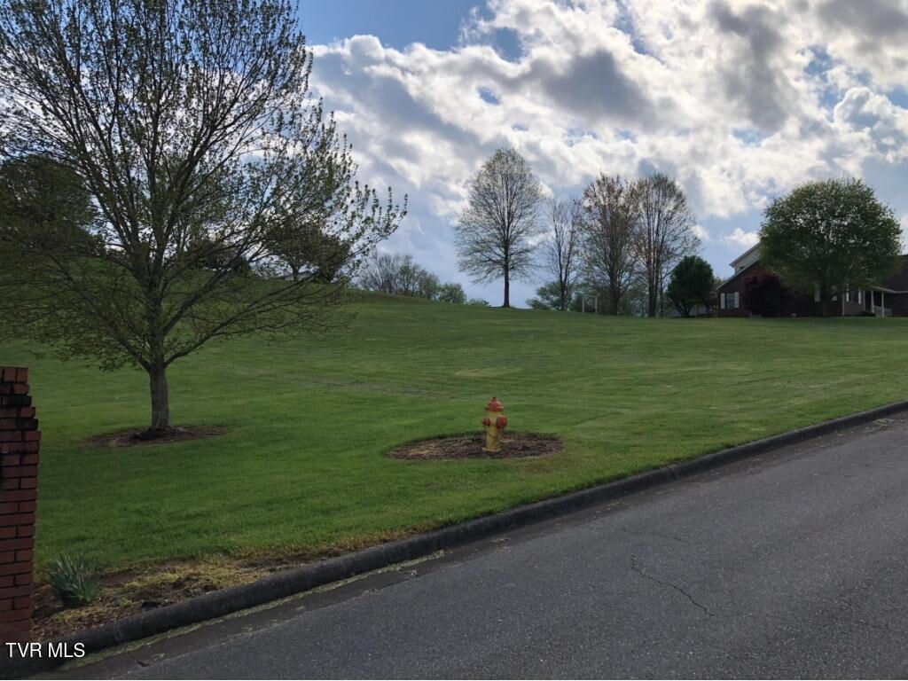 Photo of 10 Oak View Street, Mountain City, TN 37683 (MLS # 9994288)