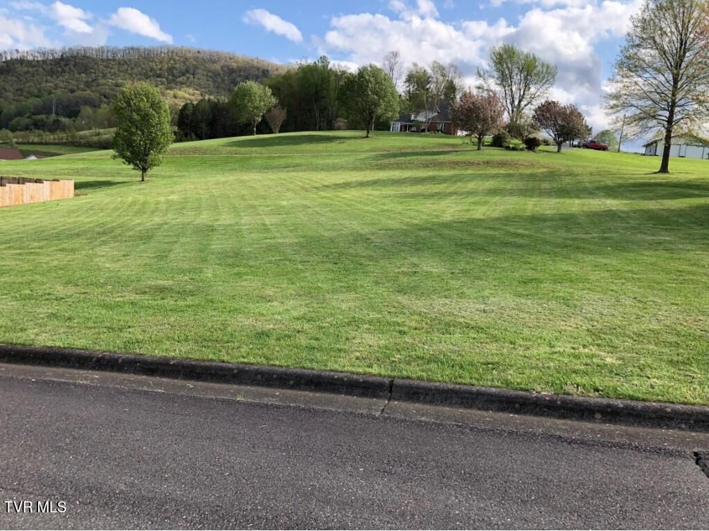 Photo of 10 Oak View Street, Mountain City, TN 37683 (MLS # 9994288)