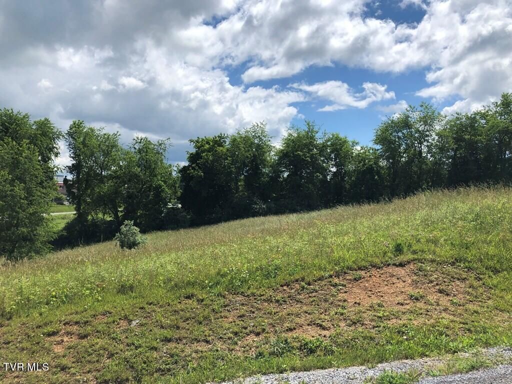Photo of Tbd Village Loop, Abingdon, VA 24210 (MLS # 9991937)