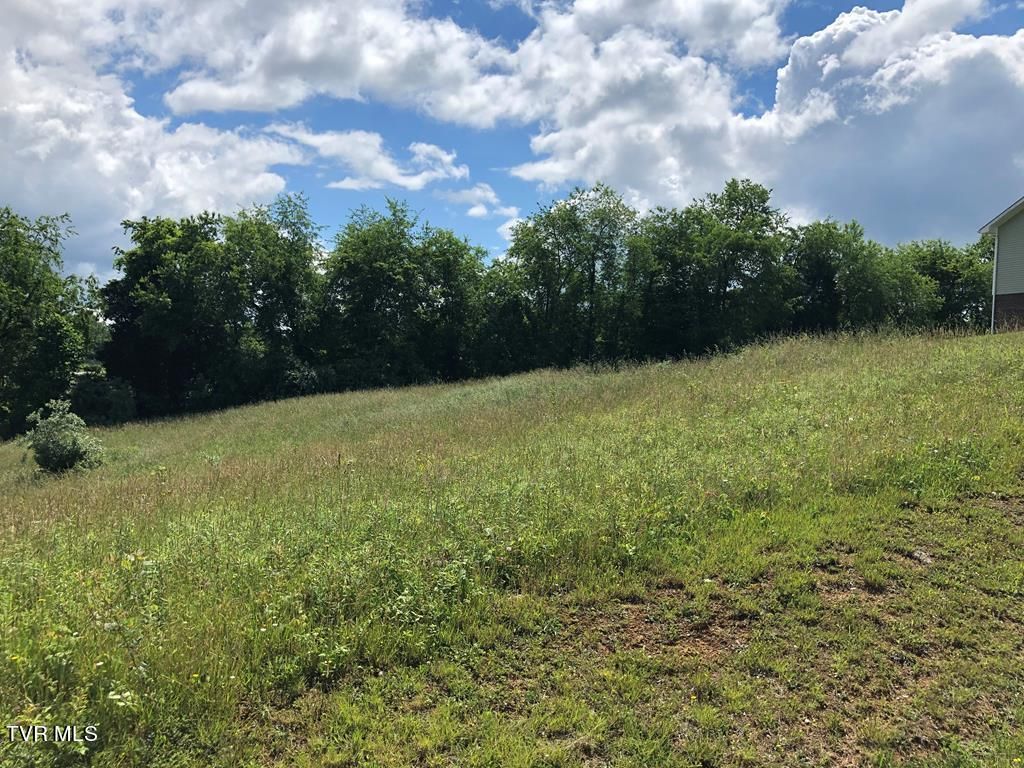 Photo of Tbd Village Loop, Abingdon, VA 24210 (MLS # 9991937)