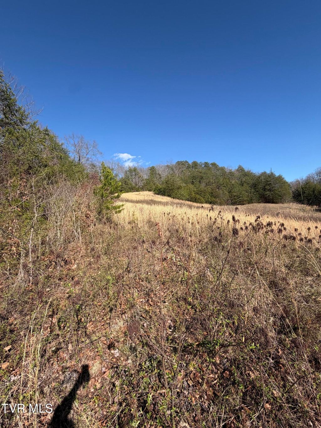 Photo of Tbd Shanks Gap Road, Rogersville, TN 37857 (MLS # 9992685)