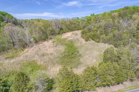 Vacant Land For Sale - TBD Shanks Gap Road<br/> Rogersville, TN 37857