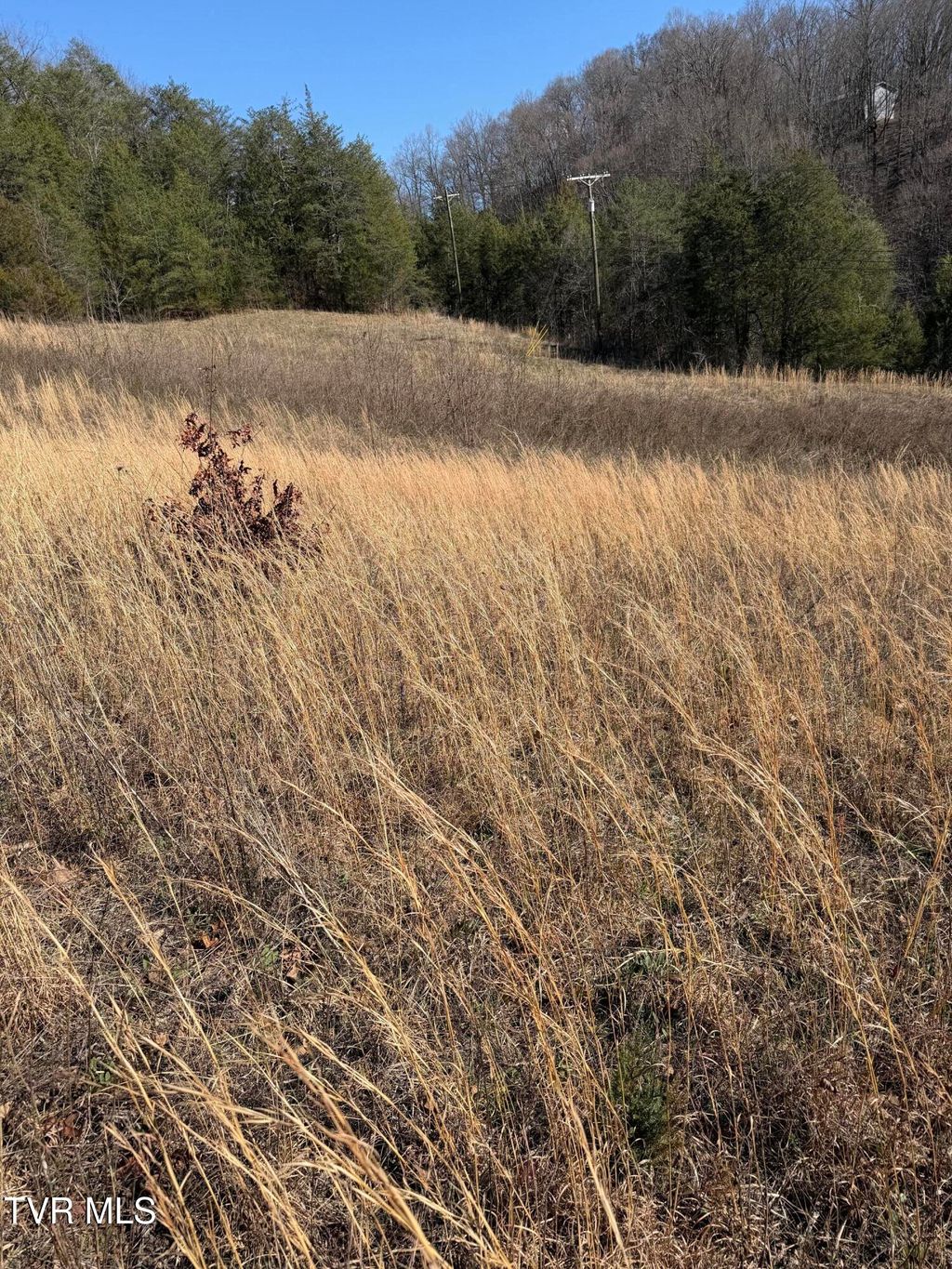 Photo of Tbd Shanks Gap Road, Rogersville, TN 37857 (MLS # 9992685)