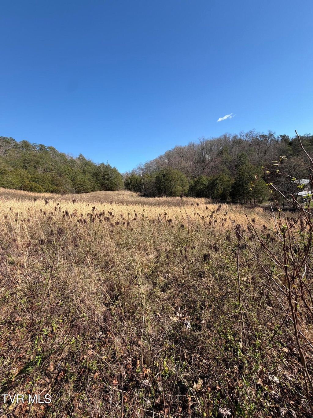 Photo of Tbd Shanks Gap Road, Rogersville, TN 37857 (MLS # 9992685)