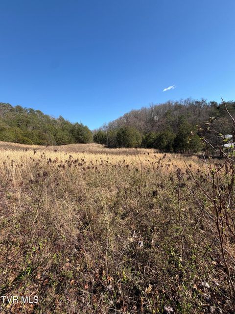 Vacant Land For Sale - TBD Shanks Gap Road<br/> Rogersville, TN 37857