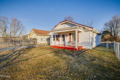 Homes For Sale - 322 Randolph Street<br/> Bristol, VA 24201