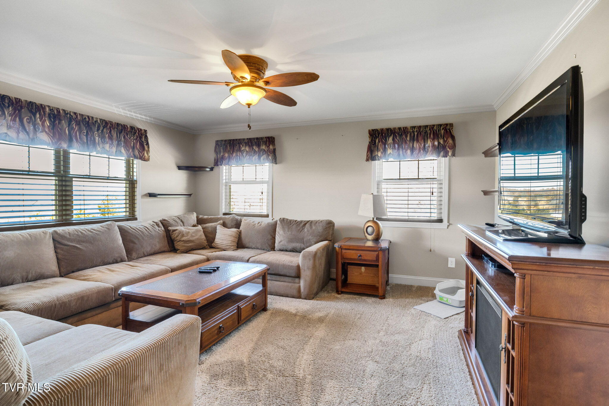 1151 John Bird Road, Afton, Tennessee image 15