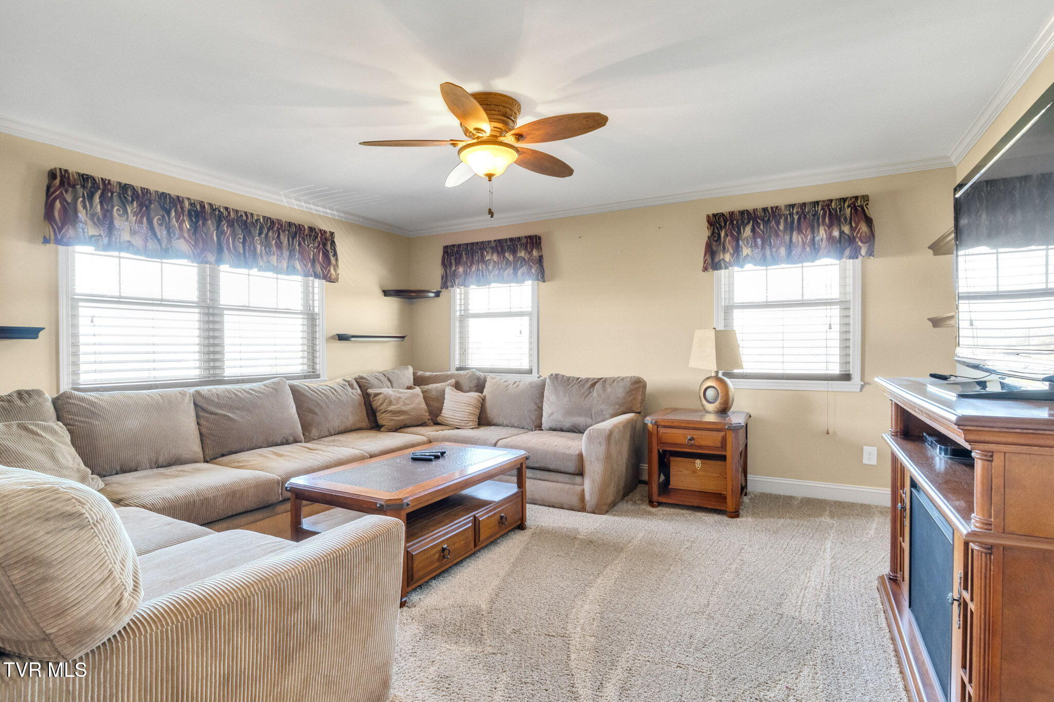 1151 John Bird Road, Afton, Tennessee image 14