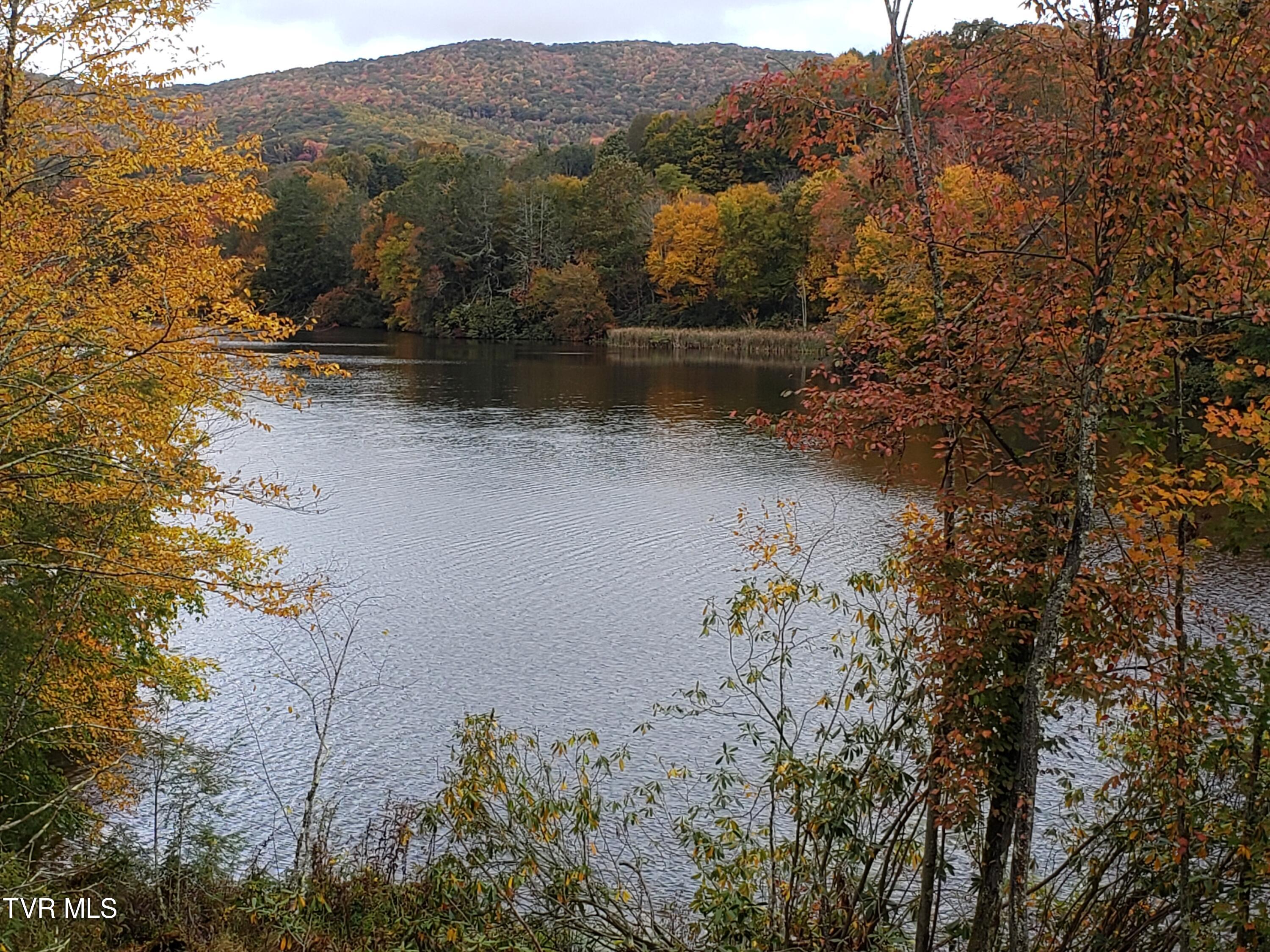 368 Ripshin Lake Road, Roan Mountain, Tennessee image 15