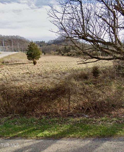 Vacant Land For Sale - TBD Stanley Valley Road<br/> Scott County, Gate City, VA 24251