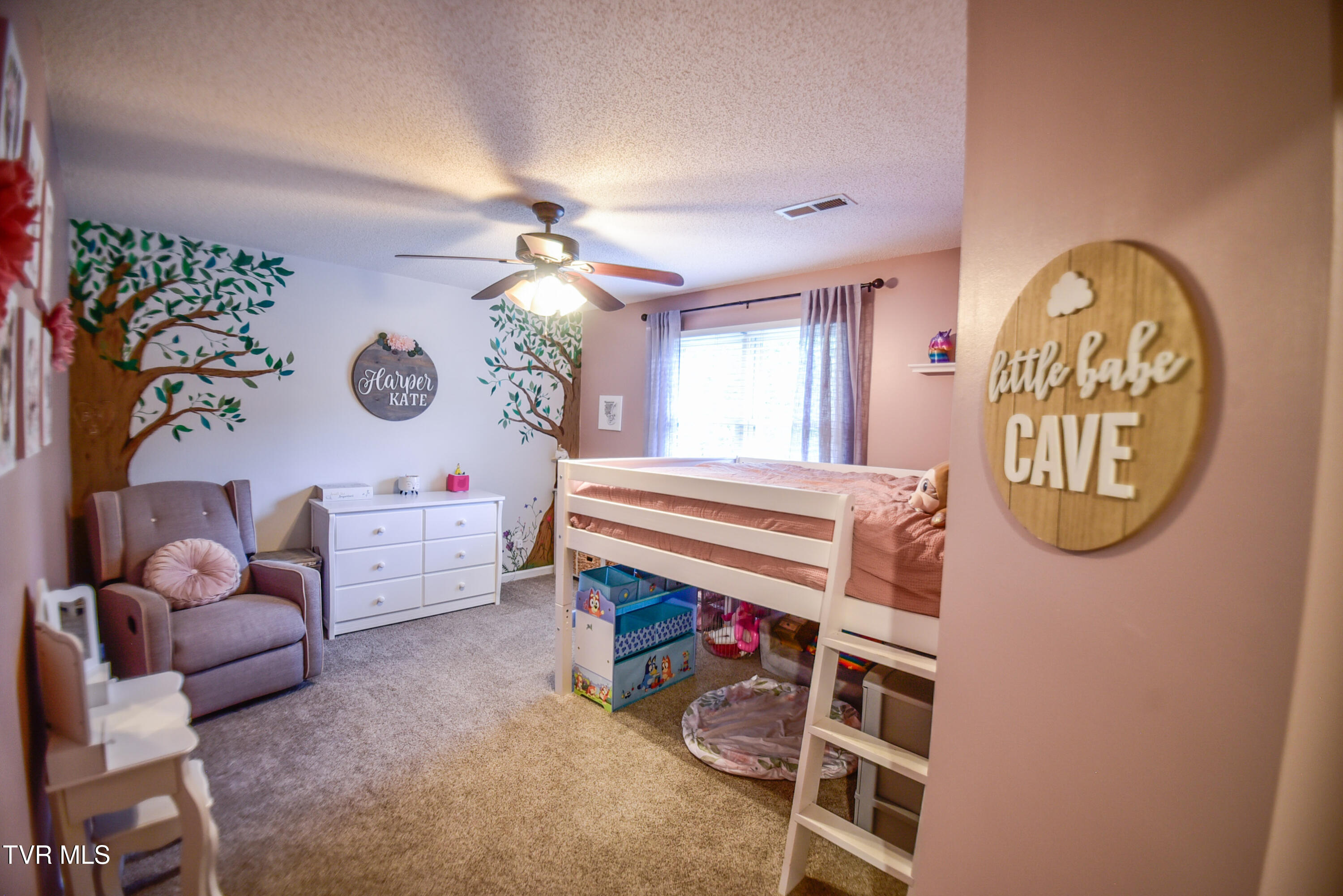 4017 Marable Lane, Johnson City, Tennessee image 23