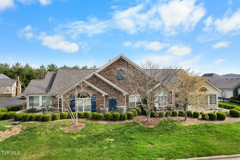 Photo of 1684 Hatterdale Farm Road #B, Blountville, TN 37617 (MLS # 9992828)