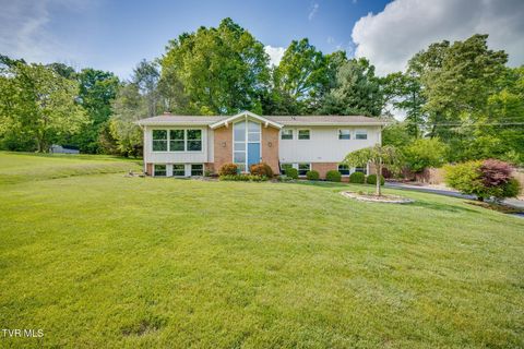 Photo of 1232 Buchelew Drive, Kingsport, TN 37663 (MLS # 9995374)