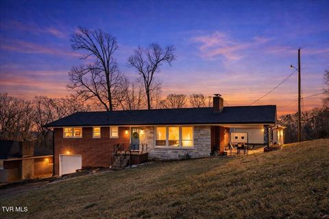 Photo of 204 Thompson Street, Kingsport, TN 37660 (MLS # 9990768)